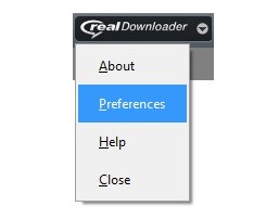 realdownloader for windows 10
